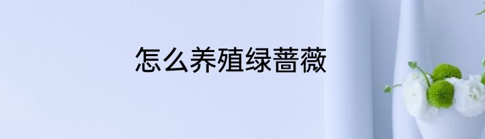 怎么养殖绿蔷薇