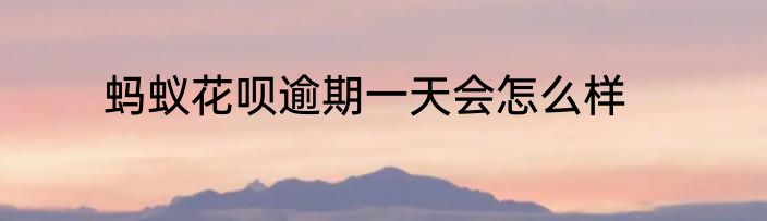 蚂蚁花呗逾期一天会怎么样