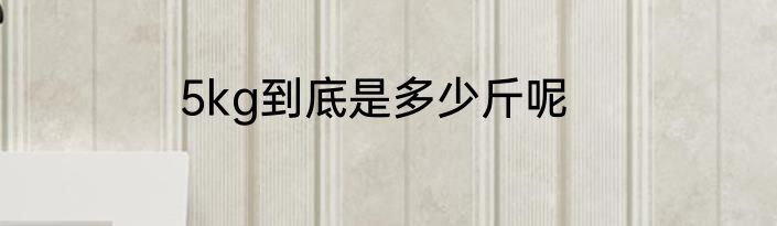 5kg到底是多少斤呢