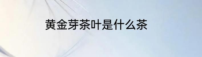 黄金芽茶叶是什么茶