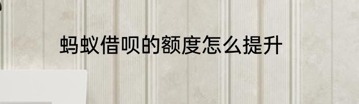 蚂蚁借呗的额度怎么提升