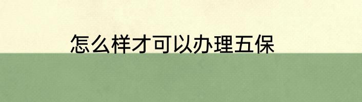 怎么样才可以办理五保
