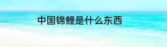 中国锦鲤是什么东西