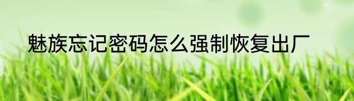 魅族忘记密码怎么强制恢复出厂