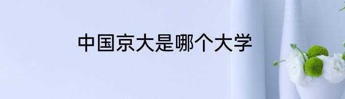 中国京大是哪个大学