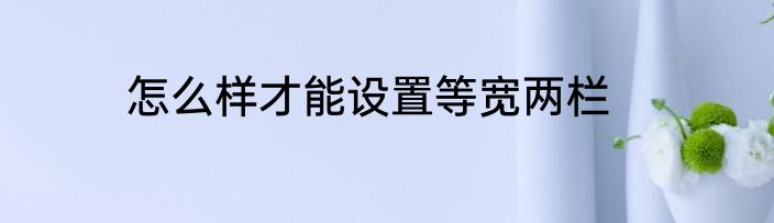 怎么样才能设置等宽两栏