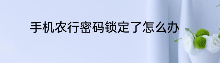 手机农行密码锁定了怎么办
