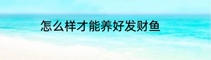 怎么样才能养好发财鱼