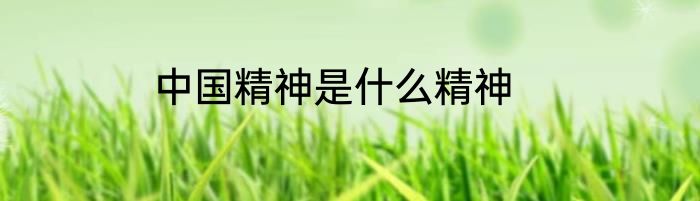 中国精神是什么精神