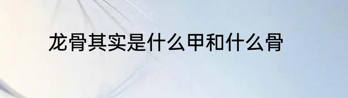龙骨其实是什么甲和什么骨