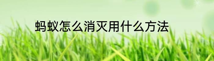 蚂蚁怎么消灭用什么方法