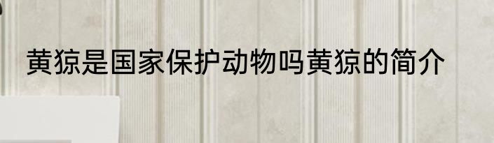 黄猄是国家保护动物吗黄猄的简介