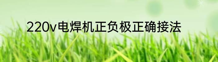 220v电焊机正负极正确接法