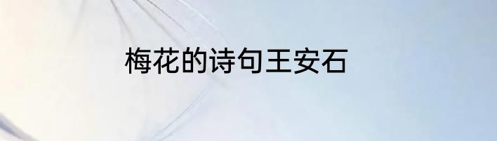 梅花的诗句王安石