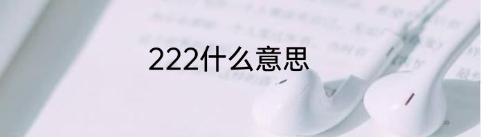 222什么意思