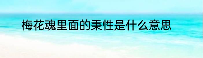 梅花魂里面的秉性是什么意思