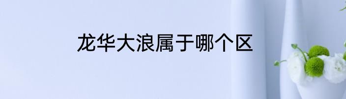 龙华大浪属于哪个区