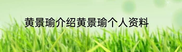黄景瑜介绍黄景瑜个人资料