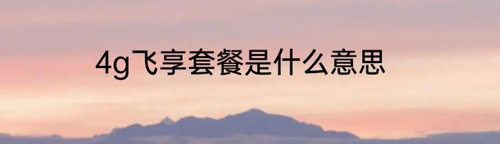 4g飞享套餐是什么意思