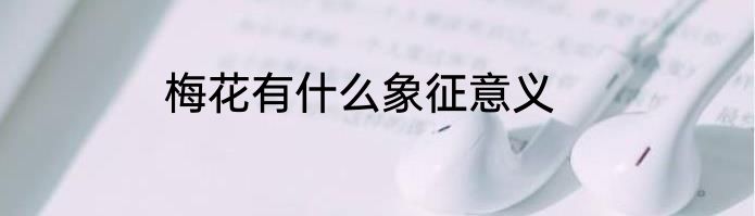 梅花有什么象征意义