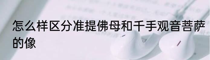 怎么样区分准提佛母和千手观音菩萨的像