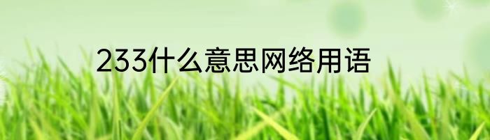 233什么意思网络用语