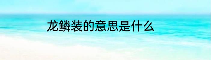 龙鳞装的意思是什么