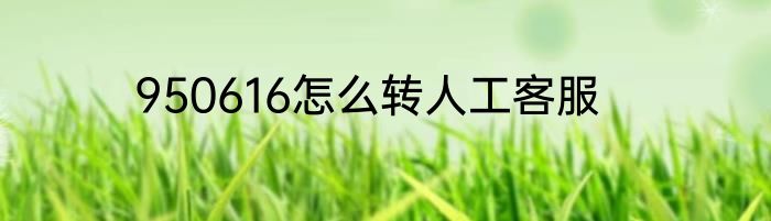 950616怎么转人工客服