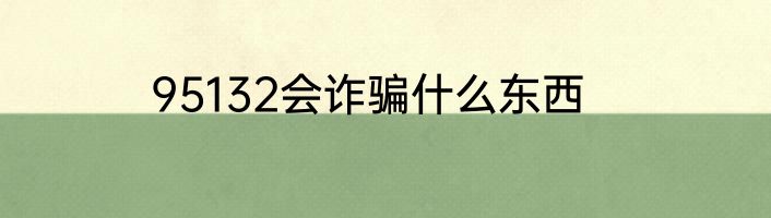 95132会诈骗什么东西