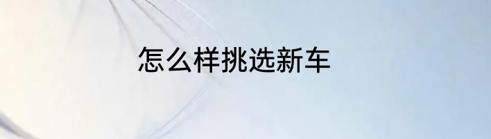 怎么样挑选新车