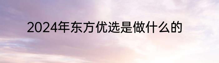 2024年东方优选是做什么的