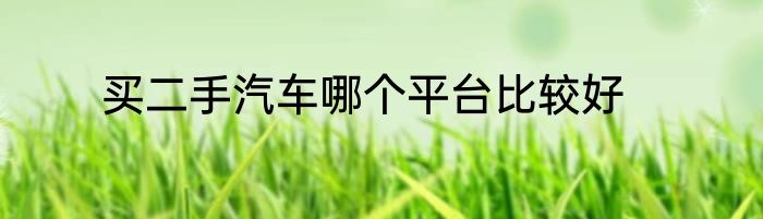 买二手汽车哪个平台比较好