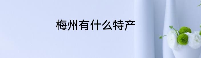 梅州有什么特产