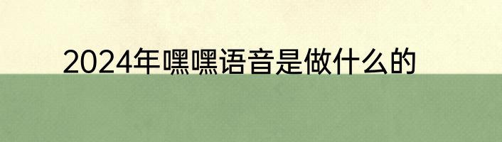 2024年嘿嘿语音是做什么的