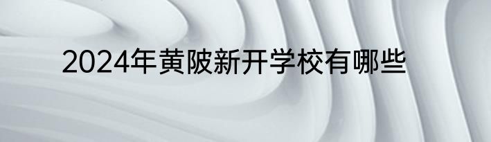 2024年黄陂新开学校有哪些