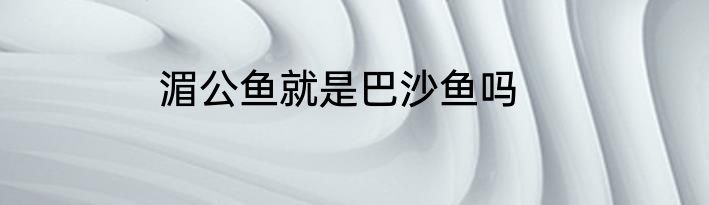 湄公鱼就是巴沙鱼吗