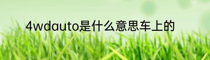4wdauto是什么意思车上的