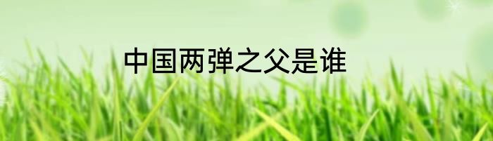 中国两弹之父是谁