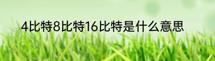 4比特8比特16比特是什么意思