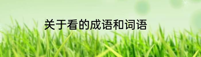 关于看的成语和词语