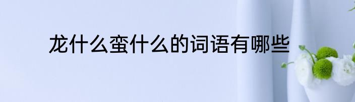 龙什么蛮什么的词语有哪些