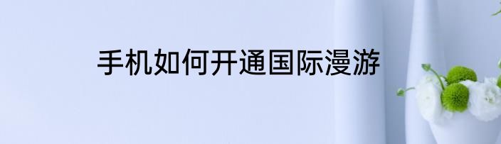 手机如何开通国际漫游
