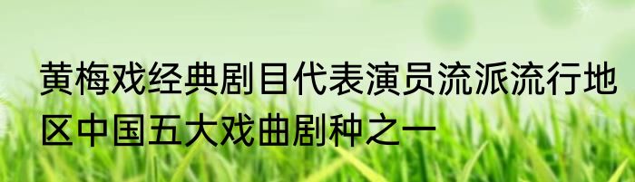 黄梅戏经典剧目代表演员流派流行地区中国五大戏曲剧种之一
