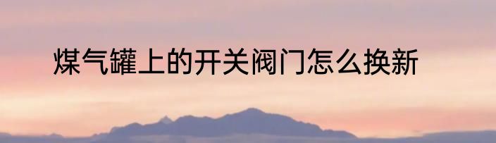 煤气罐上的开关阀门怎么换新
