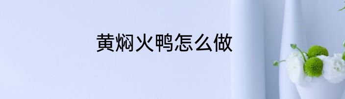 黄焖火鸭怎么做