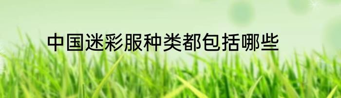 中国迷彩服种类都包括哪些