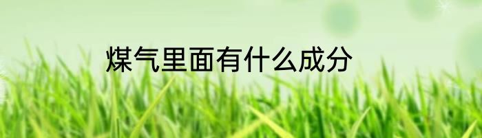 煤气里面有什么成分