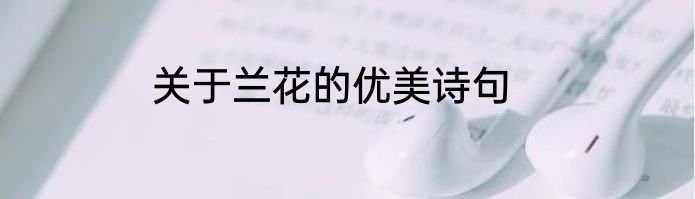关于兰花的优美诗句