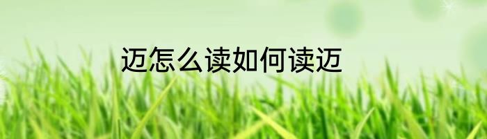 迈怎么读如何读迈