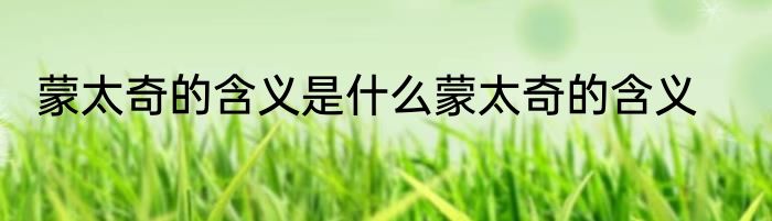 蒙太奇的含义是什么蒙太奇的含义